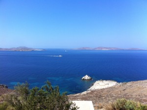 photo_7