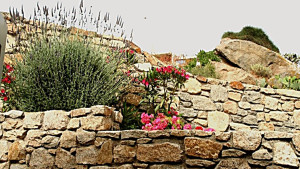 Cosy_Villa-Mykonos(8)