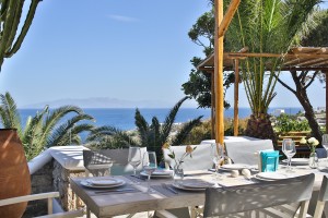 Villa Athena (26)