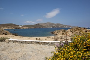 villa fedra