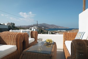 Zen Art Villa (7)